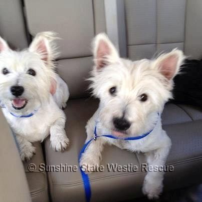 barney and daisy