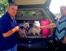 bob barker and cassie