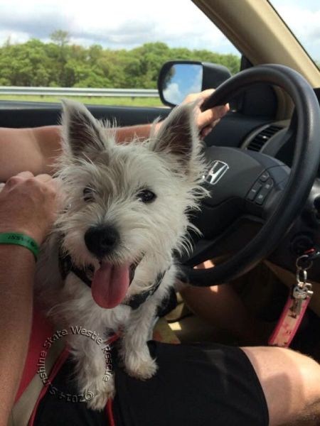 maggie mae