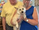 new owners