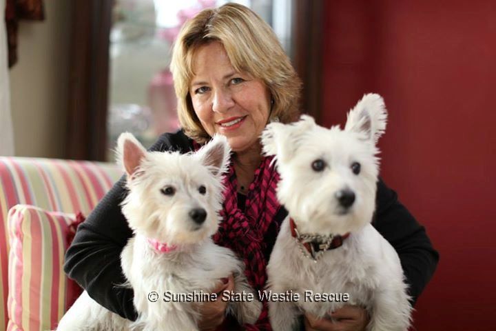 rocket and chessie